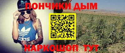 таблы Новозыбков