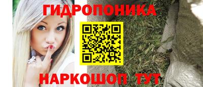 дживик Новодвинск