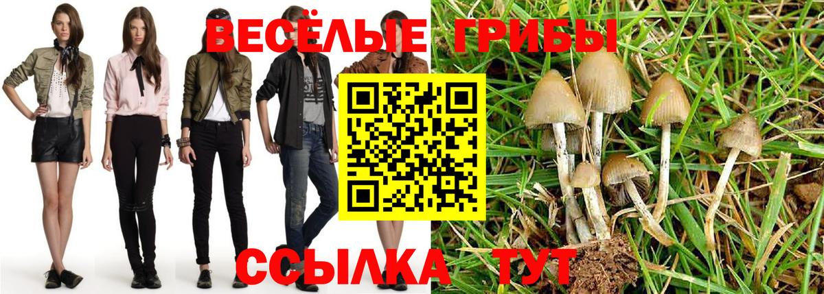Галлюциногенные грибы MAGIC MUSHROOMS Чебоксары