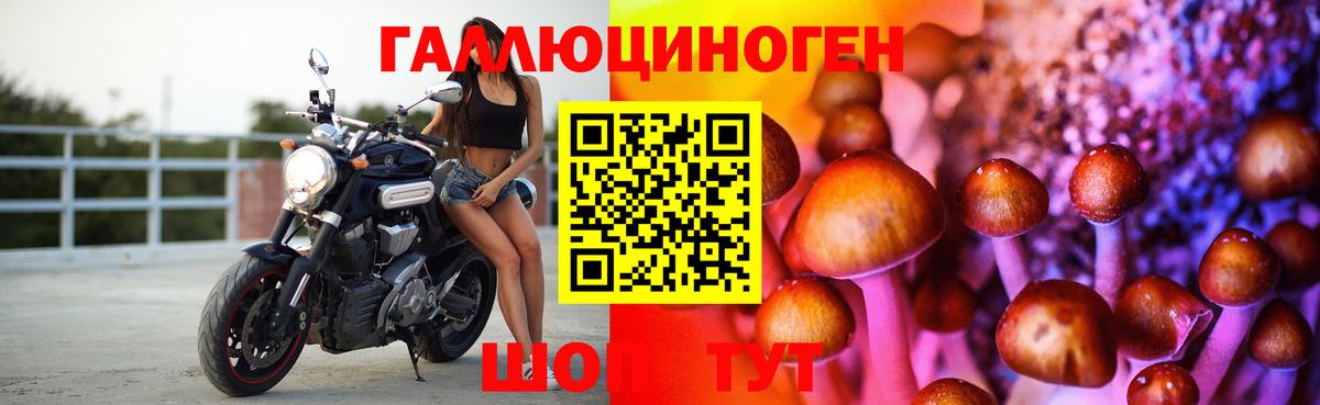 Чебоксары  Галлюциногенные грибы ЛСД  Вход с VPN 